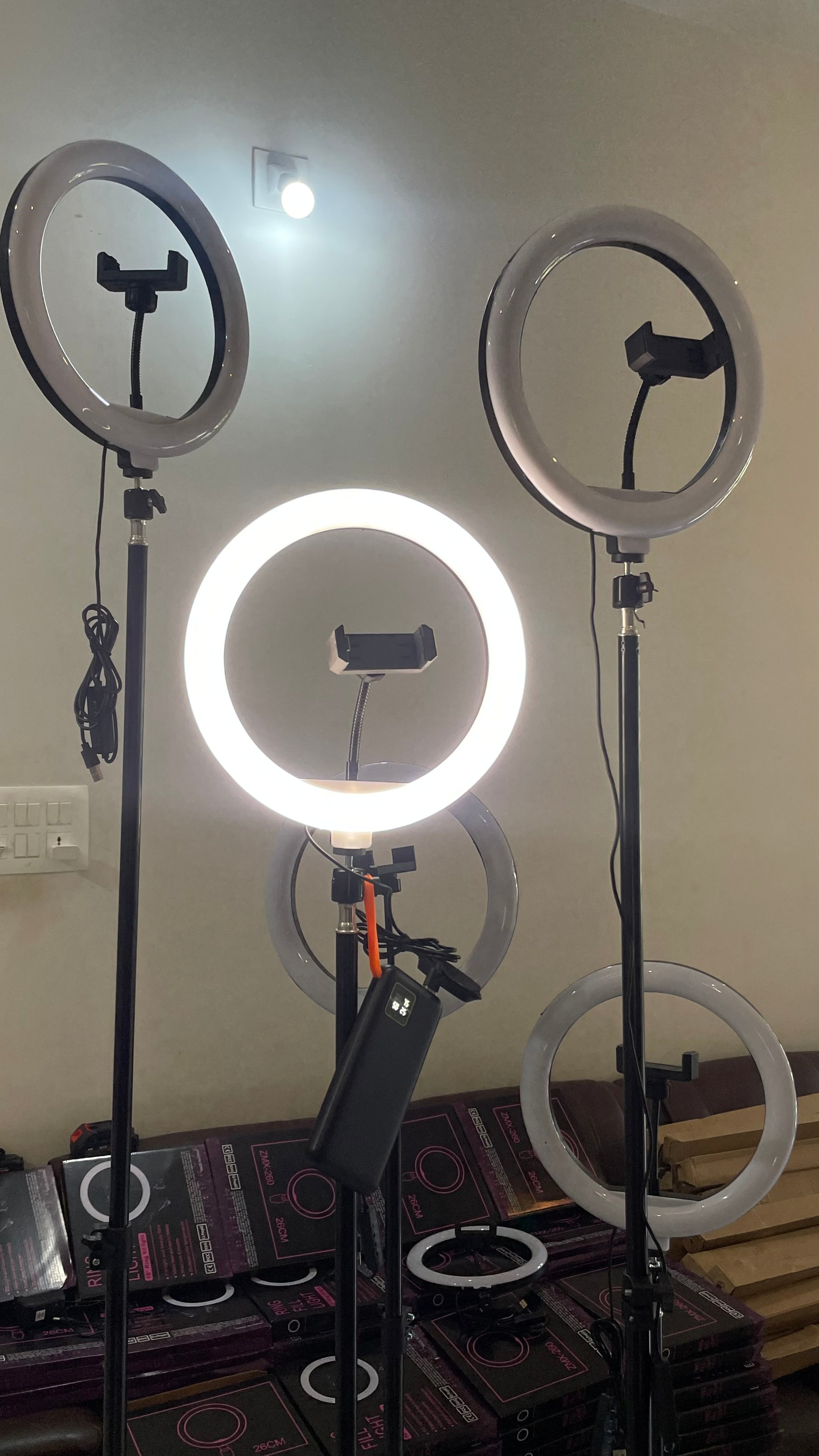 6ft Tripod Stand with 10-Inch LED Ring Light &amp; Mobile Holder