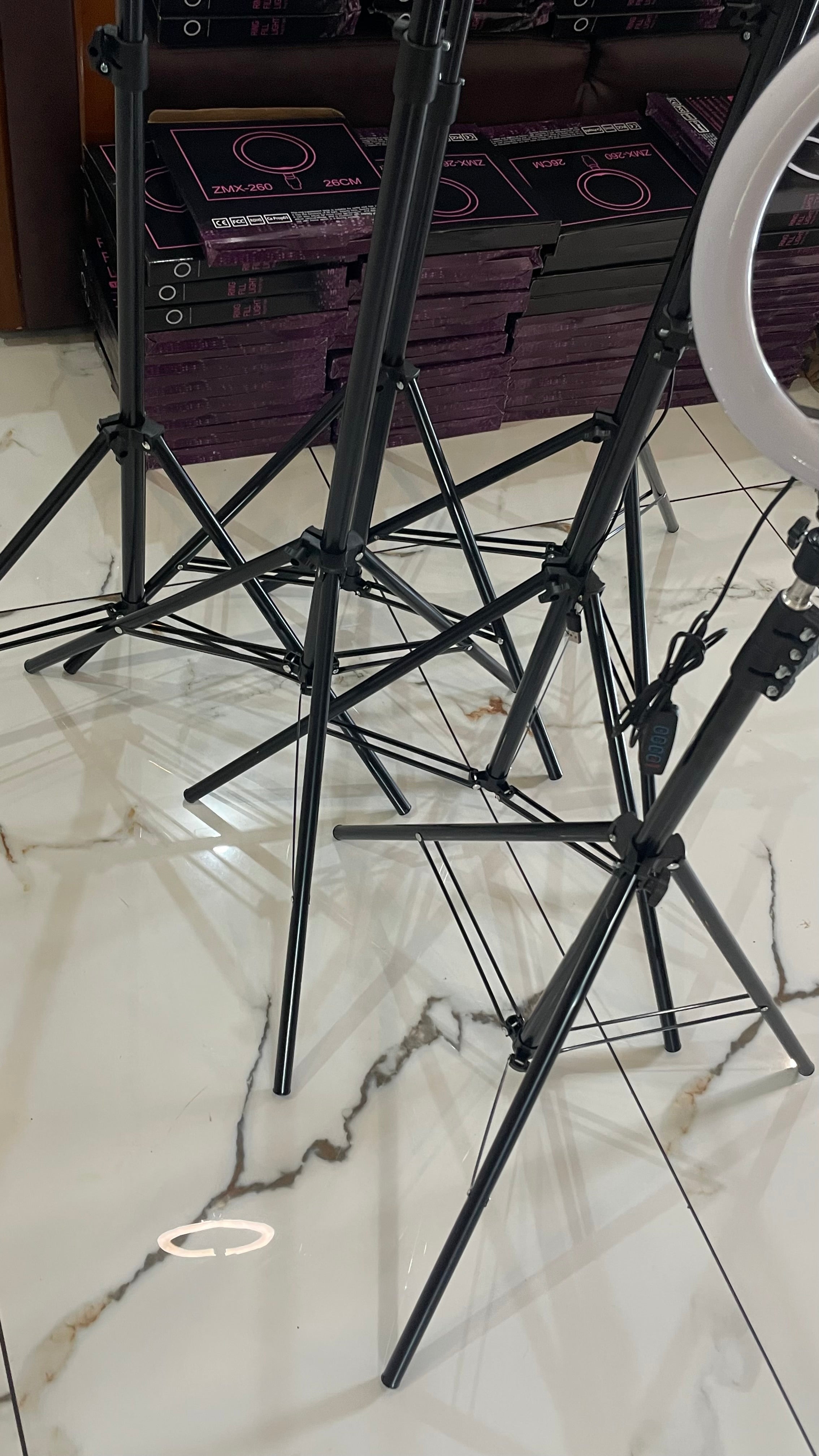 6ft Tripod Stand with 10-Inch LED Ring Light &amp; Mobile Holder