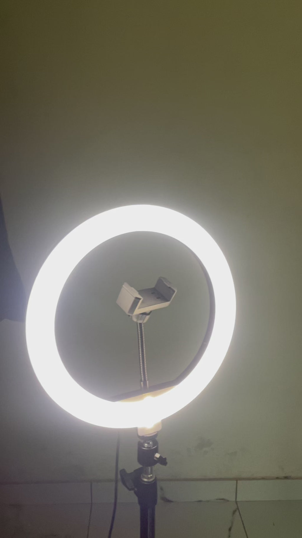 10” Ring Light Tripod with Phone Holder | UMIQ