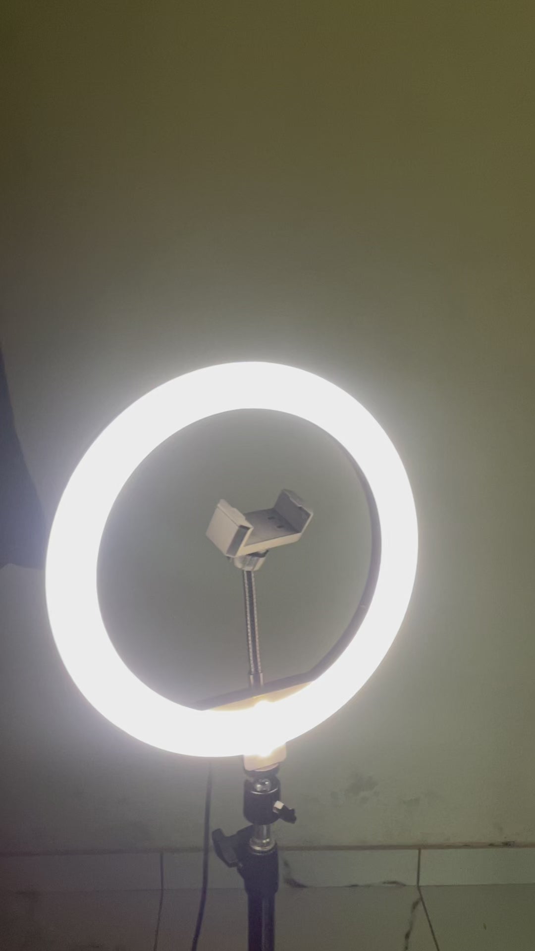 10” Ring Light Tripod with Phone Holder | UMIQ